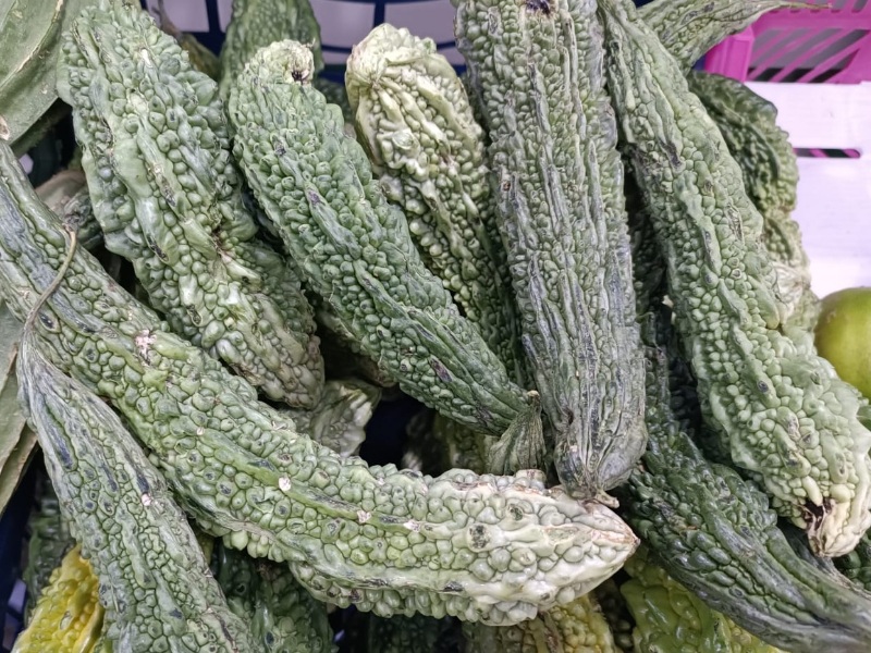 Bitter Gourd, Amplalaya