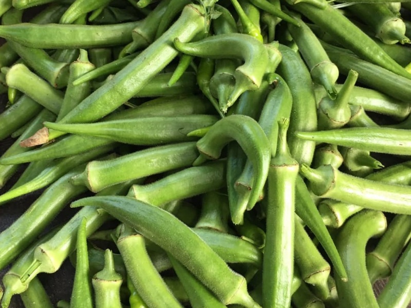 Lady Finger, Okra