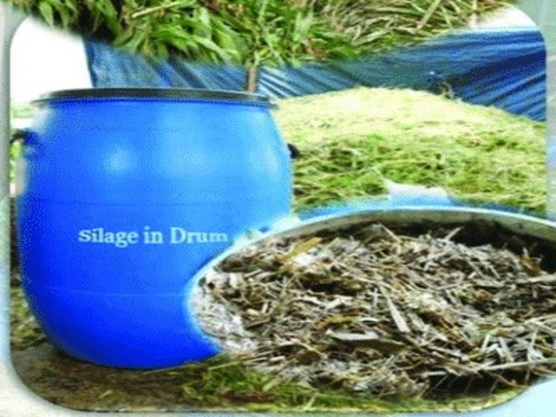Silage, drum (refill)